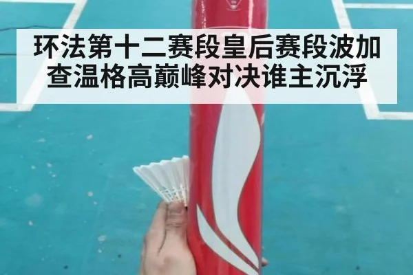 环法第十二赛段皇后赛段波加查温格高巅峰对决谁主沉浮